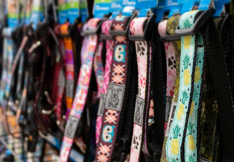 dog collar guide